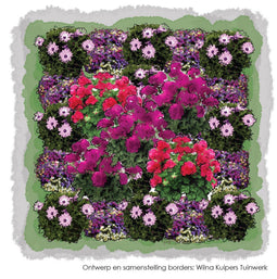 Vierkante Meter Borders - 1m2 Eenjarig vrolijke en zonnig 3a