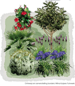 Vierkante Meter Borders - 1m2 Mediterrane border 6f