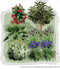 Vierkante Meter Borders - 1m2 Mediterrane border 6f