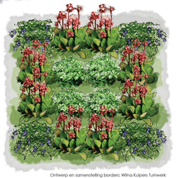 Vierkante Meter Borders - 1m2 Groenblijvend en simpel 5c