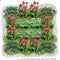 Vierkante Meter Borders - 1m2 Groenblijvend en simpel 5c
