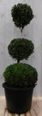 Warentuin Natuurlijk - Buxus drie bollen 100 cm