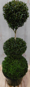 Warentuin Natuurlijk - Buxus drie bollen 100 cm