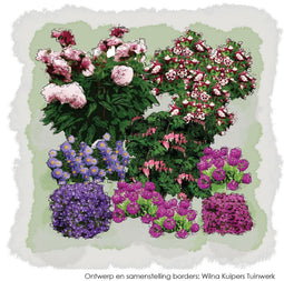 Vierkante Meter Borders - 1m2 Voorjaarsborder in purper en roze 4a
