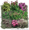 Vierkante Meter Borders - 1m2 Karmijnroze en wit 2c