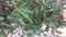 Warentuin Natuurlijk - Prunus Angustifolia 130 cm