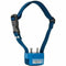 Anti-blafhalsband Num'Axes Canicalm Blauw