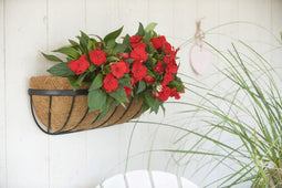 Nature - Hanging basket smeedijzer zwart H16,5x61x16cm