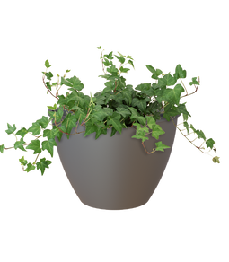 Artevasi - Muurpot Algarve D30Cm Antraciet