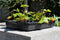 Royal Well - 3 stuks! Container 15 L