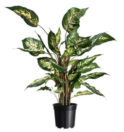 3 stuks - Nature - Container zwart 6,3l H21,5x dia. 24m