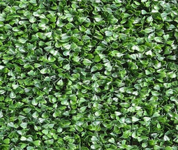 Easydeko - Easydeko Buxus fijn donker - 50x50 cm
