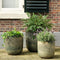 KSD - Collin Planter set van 3 Terracotta Cilinder Zwart