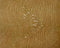KSD - Inez Planter set van 3 Terracotta Leaf Groen