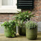 KSD - Collin Planter set van 3 Terracotta Cilinder Groen