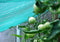 Royal Well - 3 stuks! RW30-screen X 400cm