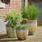 KSD - Maxime Planter set van 3 Terracotta Tapered Groen