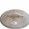 Warentuin Collection - Houten regentondeksel met handvat