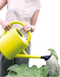 Warentuin Collection - Green Basics Gieter 10 Liter