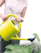 Warentuin Collection - Green Basics Gieter 10 Liter