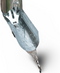 Warentuin Collection - Zinken overloop diameter 80 mm