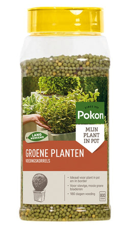 2 stuks - Pokon - Groene Planten Voedingskorrels 800gr