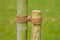 2 stuks - Nature - Kokostouw bruin dia. 3,5 mm x 50 m
