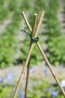 Nature - Kunststof Ring - Voor Wigwamconstructie van 3 plantstokken - dia. 8mm - 10 stuks