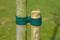 2 stuks - Nature - Kokostouw groen dia. 3,5 mm x 50 m