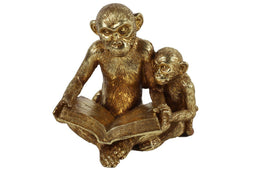 Countryfield - Aap m/kind&boek Heron goud
