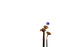 Anna's Collection - 10st solar lampion wit 8 cm
