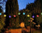 Anna's Collection - 10st solar lampion wit 8 cm