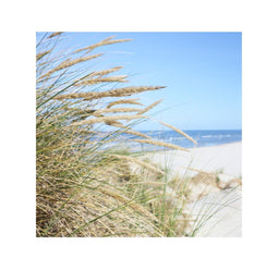 Anna's Collection - Buiten Canvas 58 x 58 cm Strand Gras
