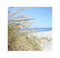 Anna's Collection - Buiten Canvas 58 x 58 cm Strand Gras