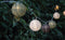Anna's Collection - 10led Solar lampion wit/groen/grijs 8cm