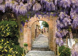 All Seasons Posters - Doorkijk met blauwe regen 117 x 163 cm