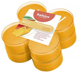 Bolsius - Maxilichten clear cup True Scents Mango 8u