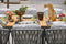 Driesprong Collection - Santos dinning tafel 100x100cm antraciet
