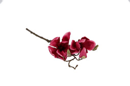 Countryfield - Magnolia Cinthya fuchsia
