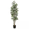 Buitengewoon de Boet - Ficus Benjamina 165 cm kunstplant