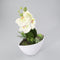 Oosterik Home - Orchidee in kunststof pot groen L