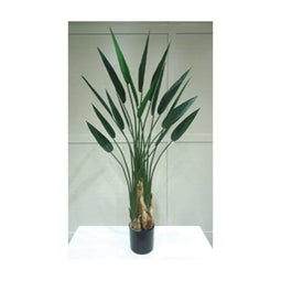 Buitengewoon de Boet - Kunstplant Strelitzia Waaier 170 cm