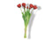 Buitengewoon de boet - Bosje Tulpen Tulp Duchesse Double rood kunstbloem
