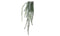 Emerald - Cactus epiphyllum l90 groen header
