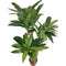 Buitengewoon de Boet - Dracaena 125 cm