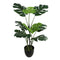 Buitengewoon de Boet - Monstera 75 cm