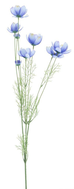 Nova Nature - Cosmos spray pearl blue 93 cm kunstbloemen
