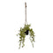 Jasaco - Hangplant in pot h35 cm licht groen