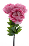 Nova Nature - Paeonia bundle Chiminez beauty 51 cm kunstbloem