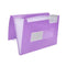 Organiser Map Liderpapel FU38 Lila A4
